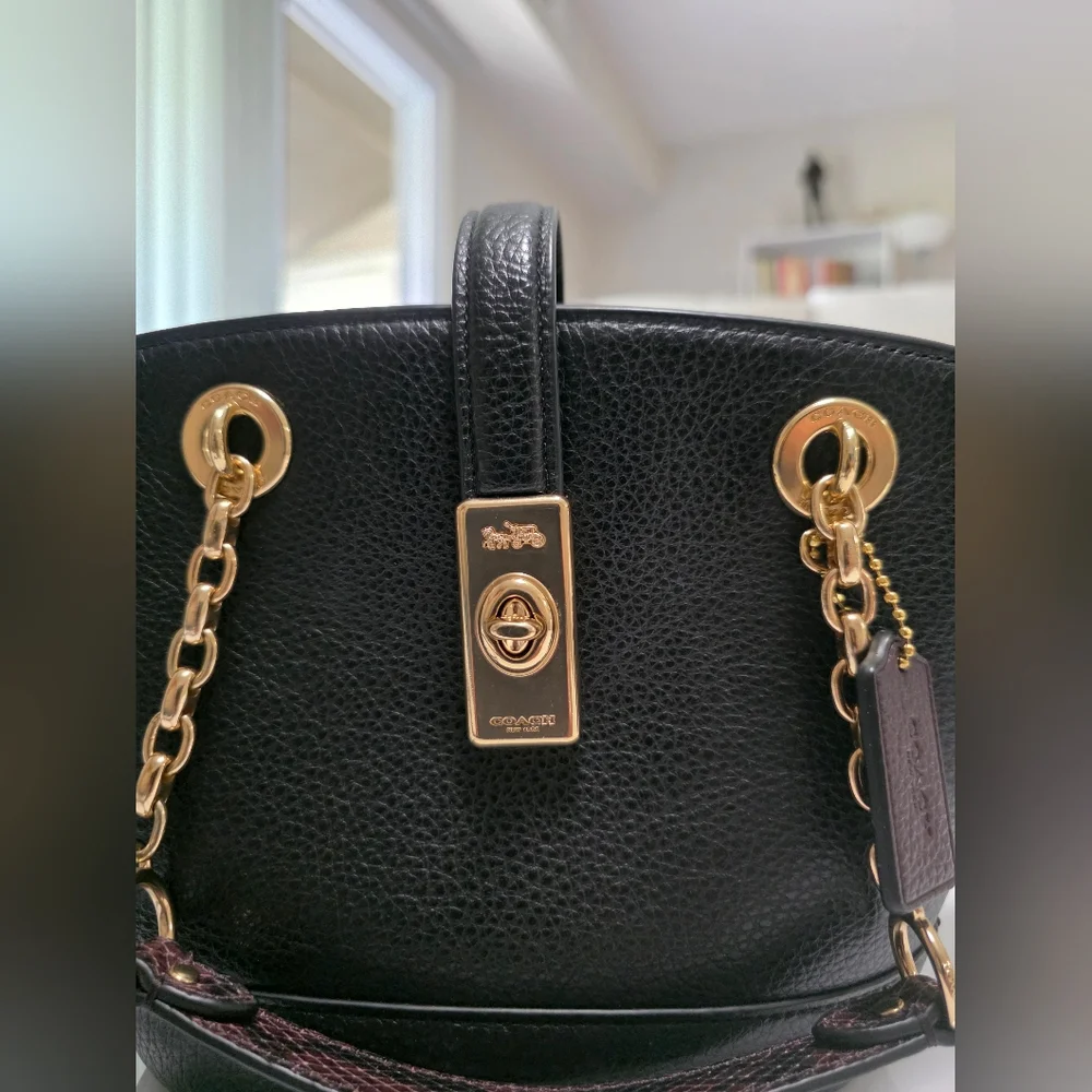 Coach Lane Bucket Bag NWOT - Picture 3 of 16